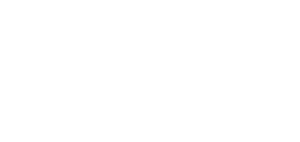 Logo VKS branco